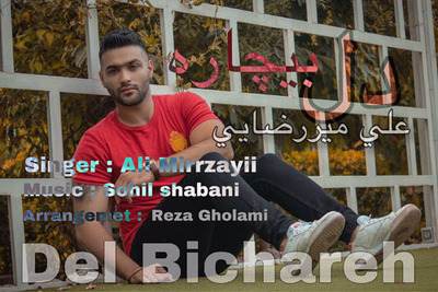 علی میررضایی دل بیچاره